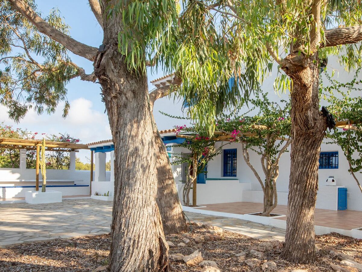 Maison Casa Migjorn – 5 ch., terrasse vue mer à Formentera - Photo 5