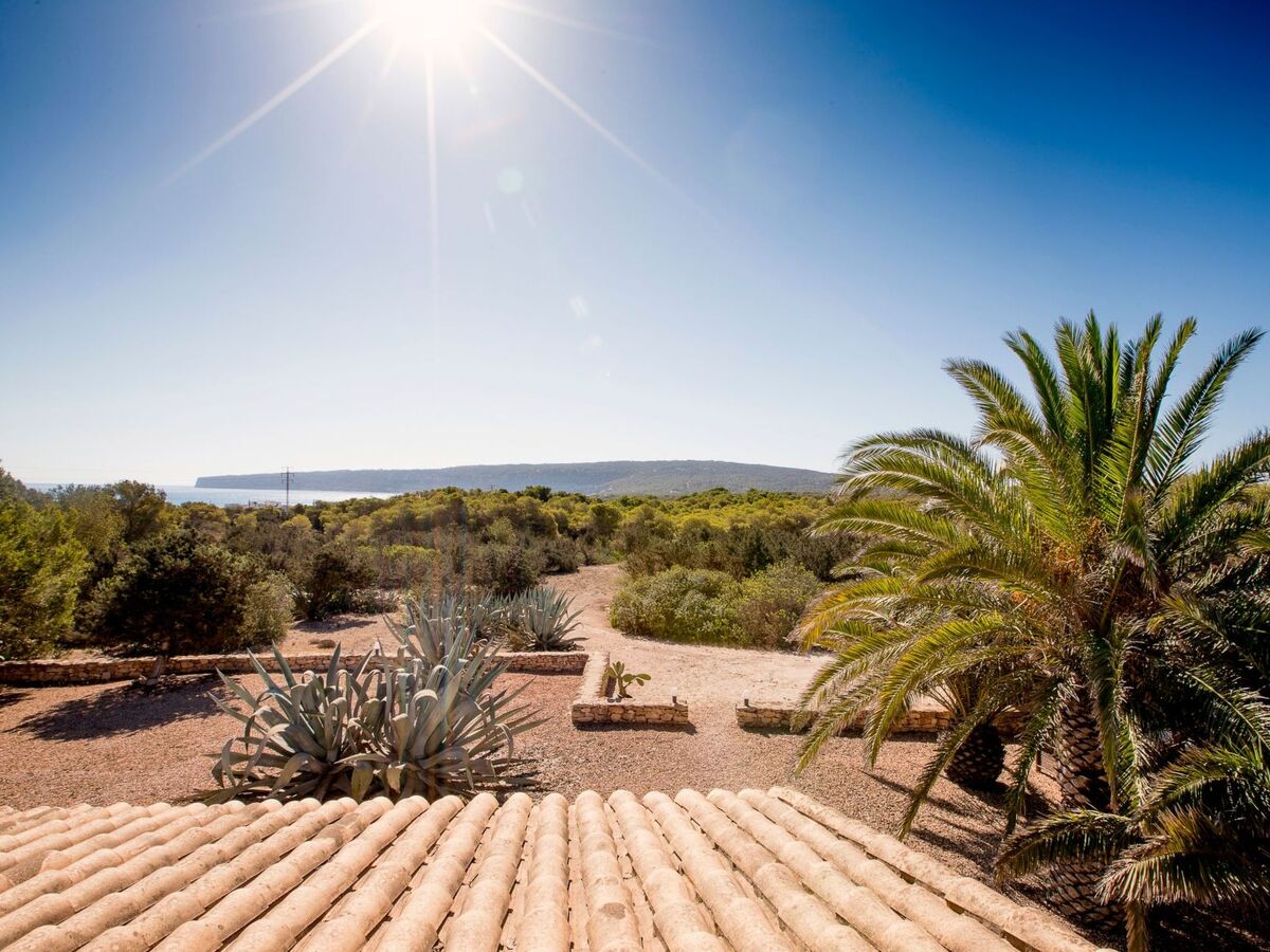 Maison Casa Migjorn – 5 ch., terrasse vue mer à Formentera - Photo 34