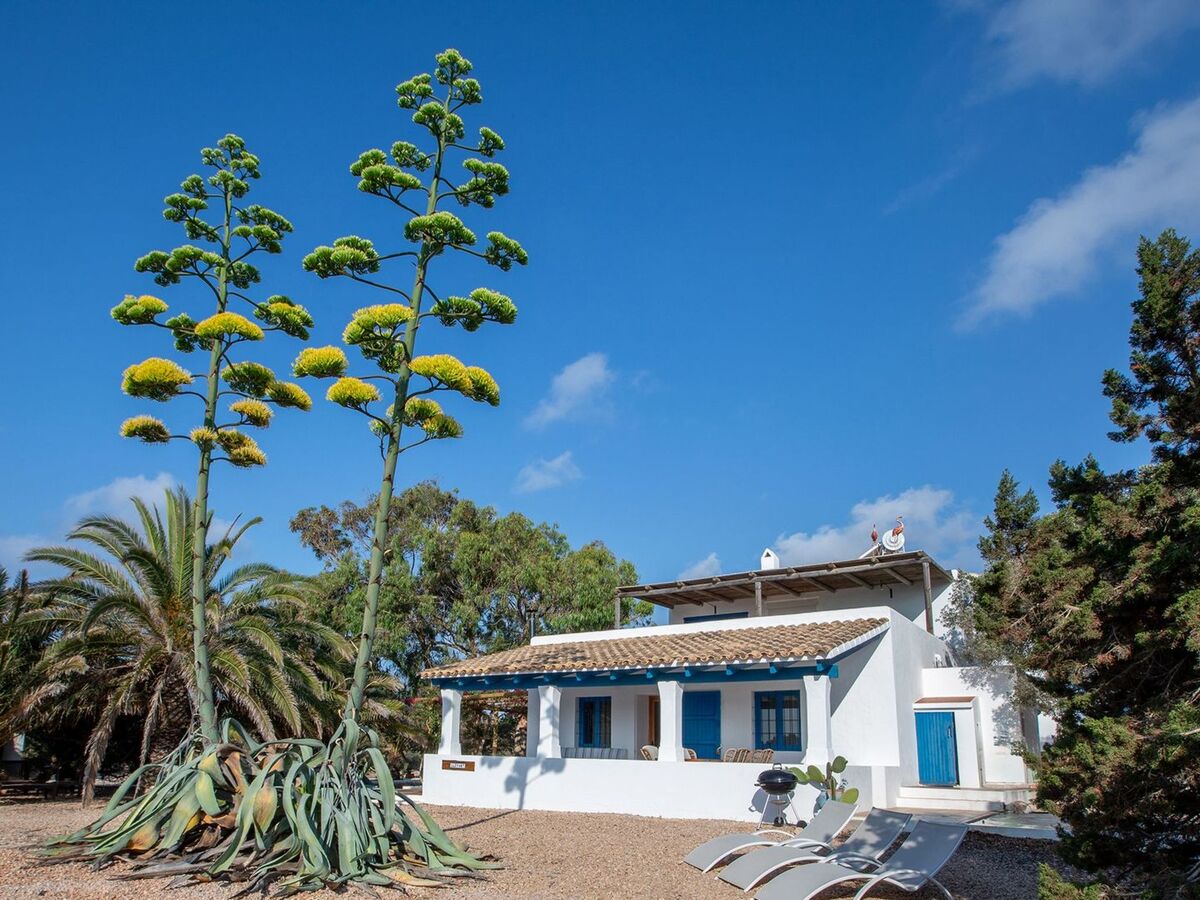 Maison Casa Llevant dans domaine privé, plage à 800 m – Formentera - Photo 2