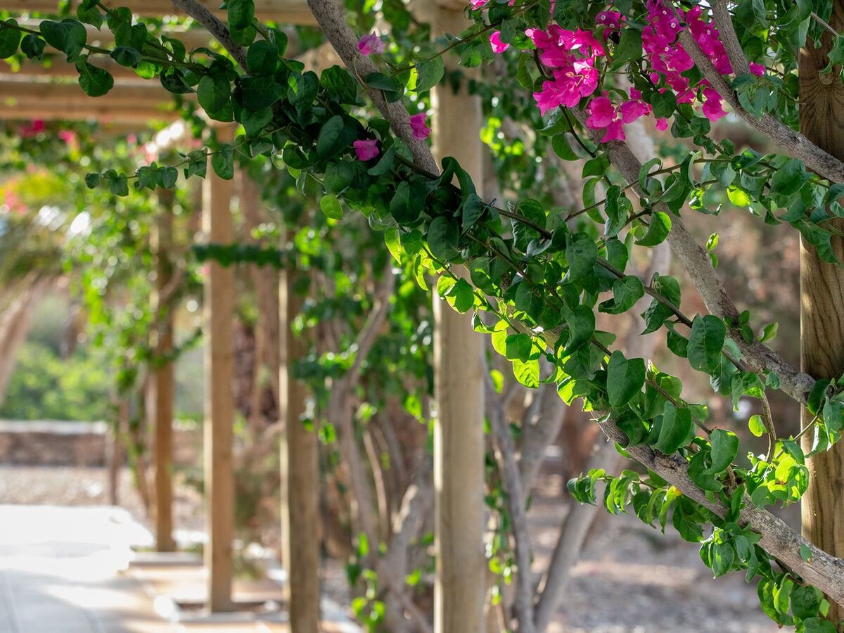 Maison Casa Llevant dans domaine privé, plage à 800 m – Formentera - Photo 9
