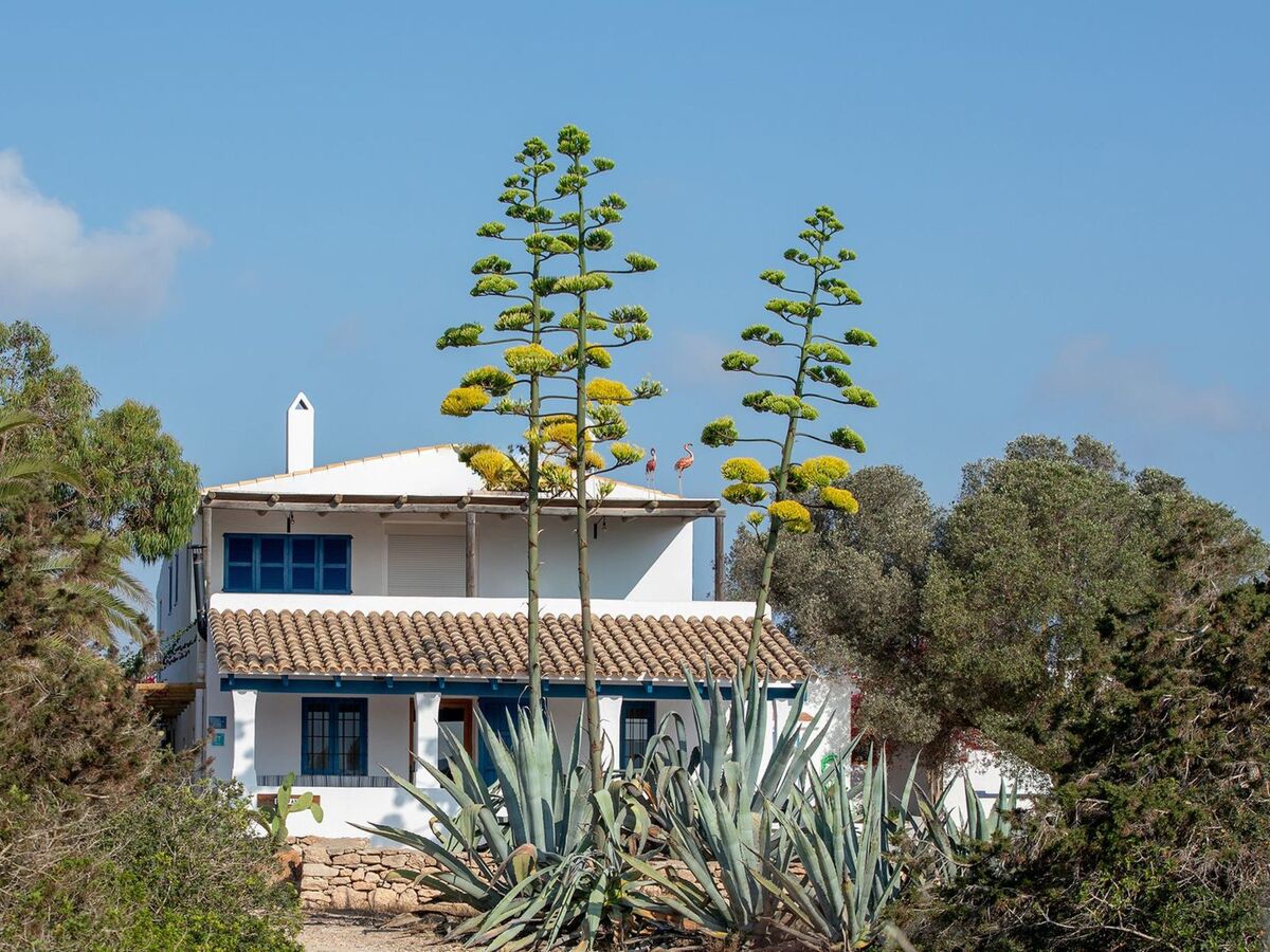 Maison Casa Llevant dans domaine privé, plage à 800 m – Formentera - Photo 10