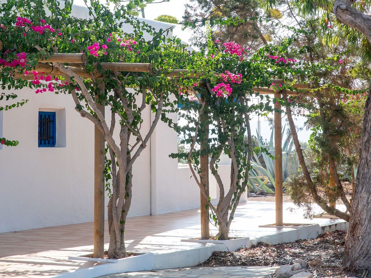 Maison Casa Llevant dans domaine privé, plage à 800 m – Formentera - Photo 14