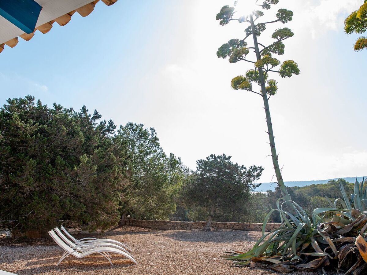 Maison Casa Llevant dans domaine privé, plage à 800 m – Formentera - Photo 16