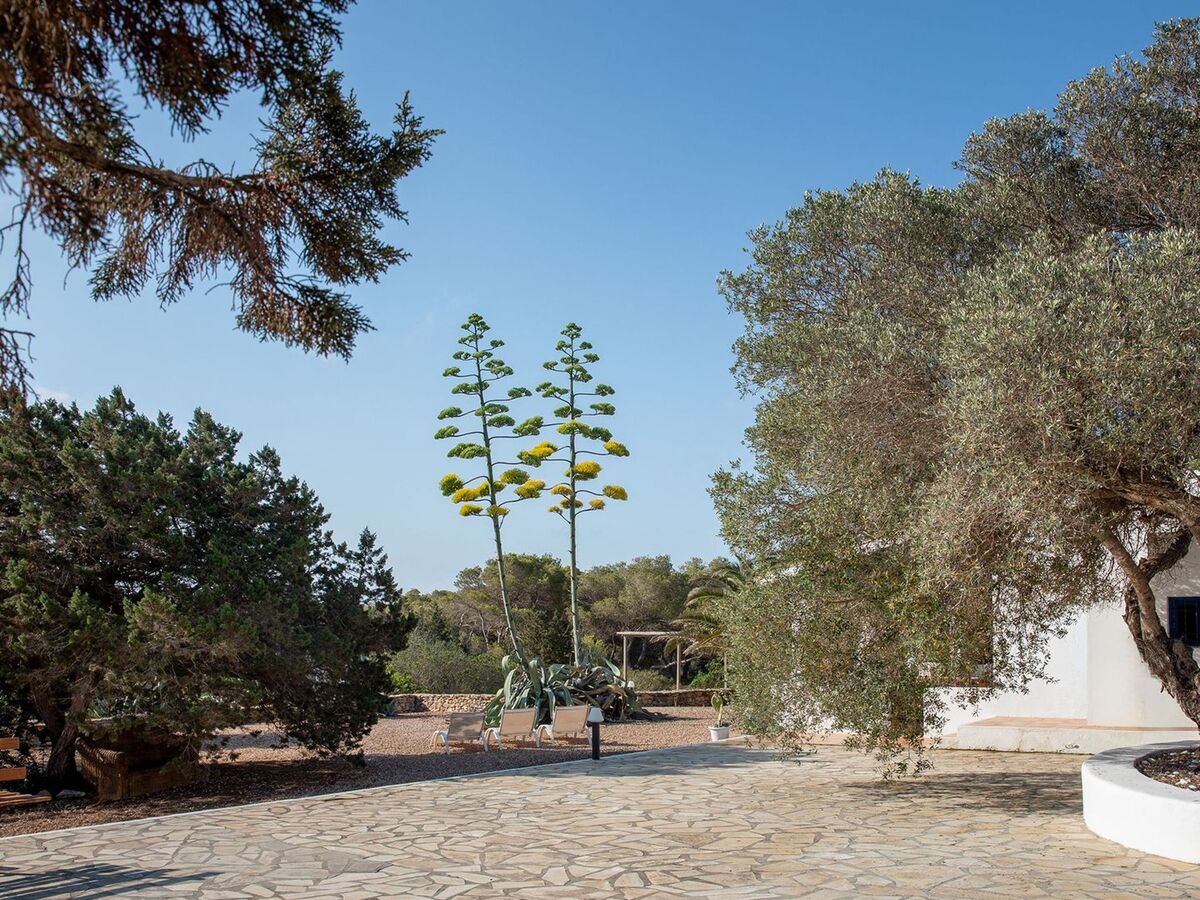 Maison Casa Llevant dans domaine privé, plage à 800 m – Formentera - Photo 17
