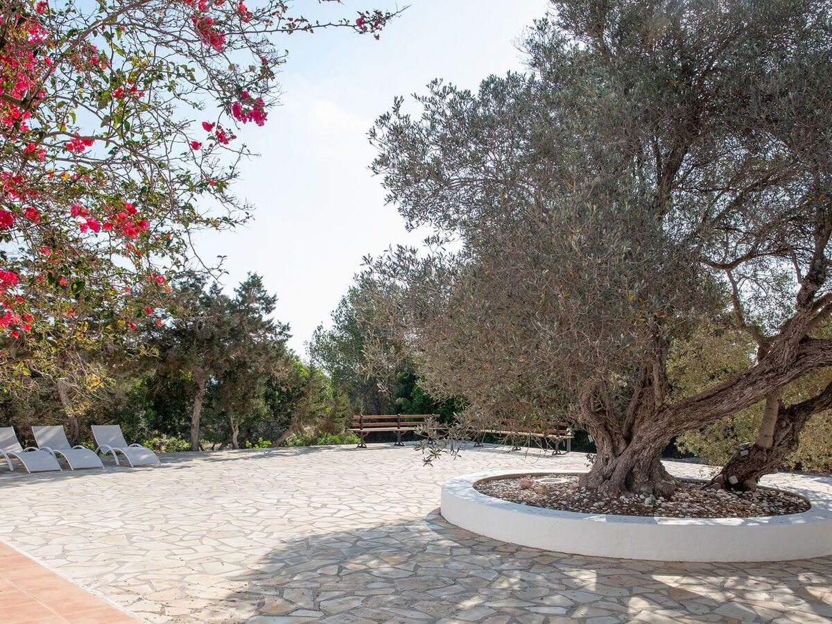 Maison Casa Llevant dans domaine privé, plage à 800 m – Formentera - Photo 18