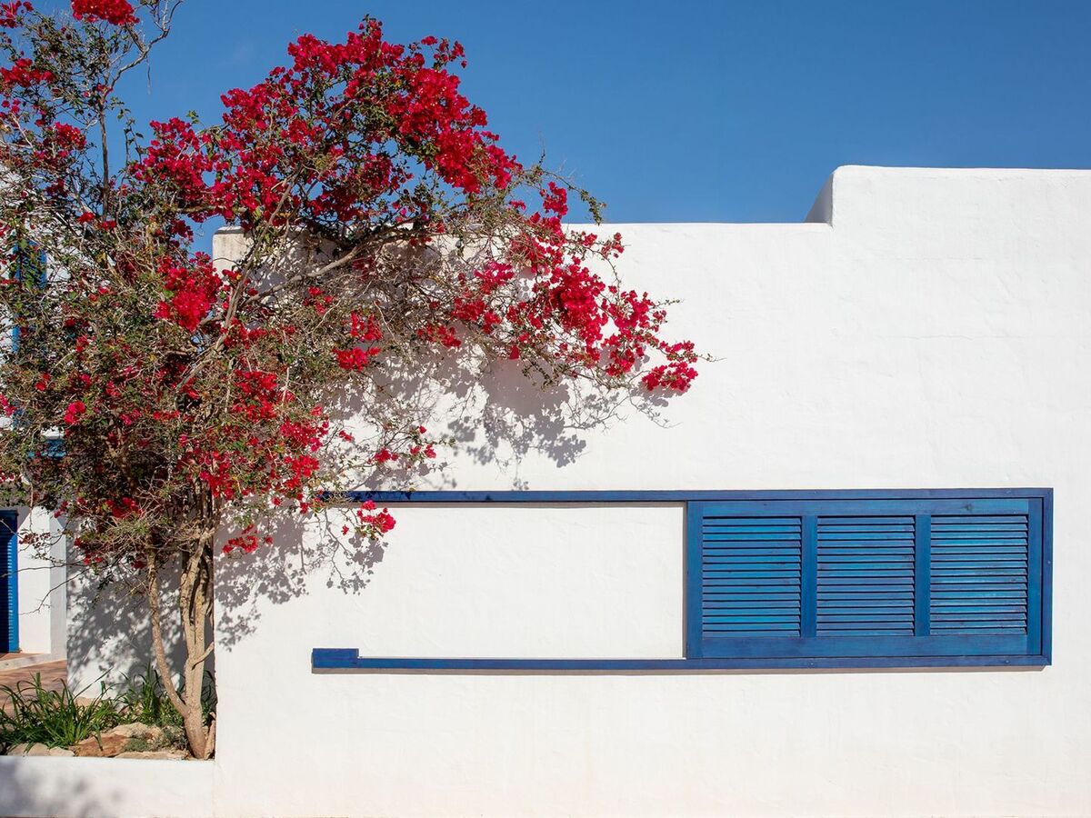 Maison Casa Tramontana à Es Caló – terrasse vue mer et plage à 800 m - Photo 34