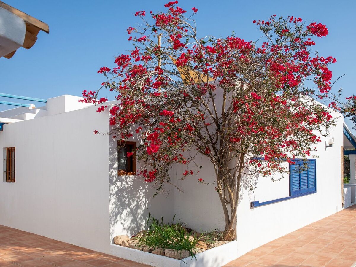 Maison Casa Tramontana à Es Caló – terrasse vue mer et plage à 800 m - Photo 35