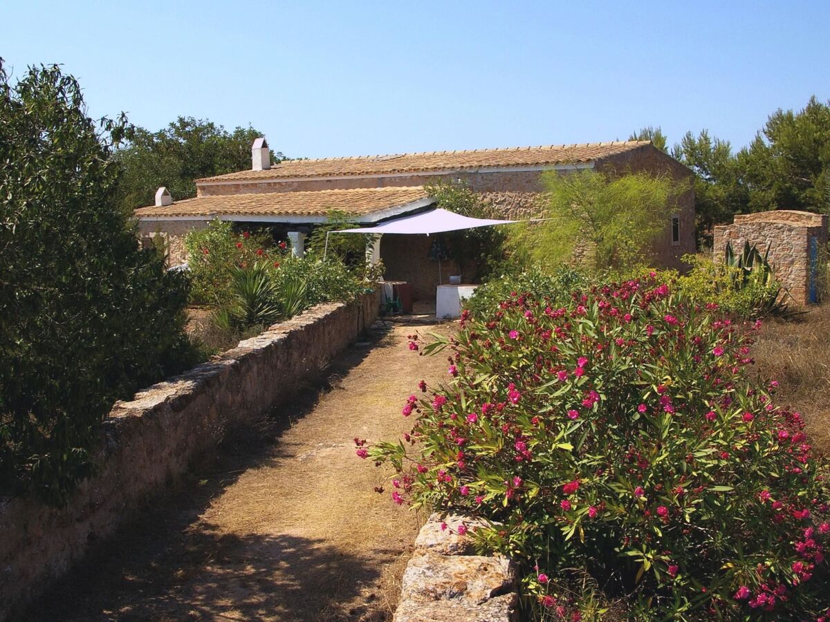 Finca de 1870 à San Fernando, jardin 2000 m² et vue sur les oliveraies - Photo 1
