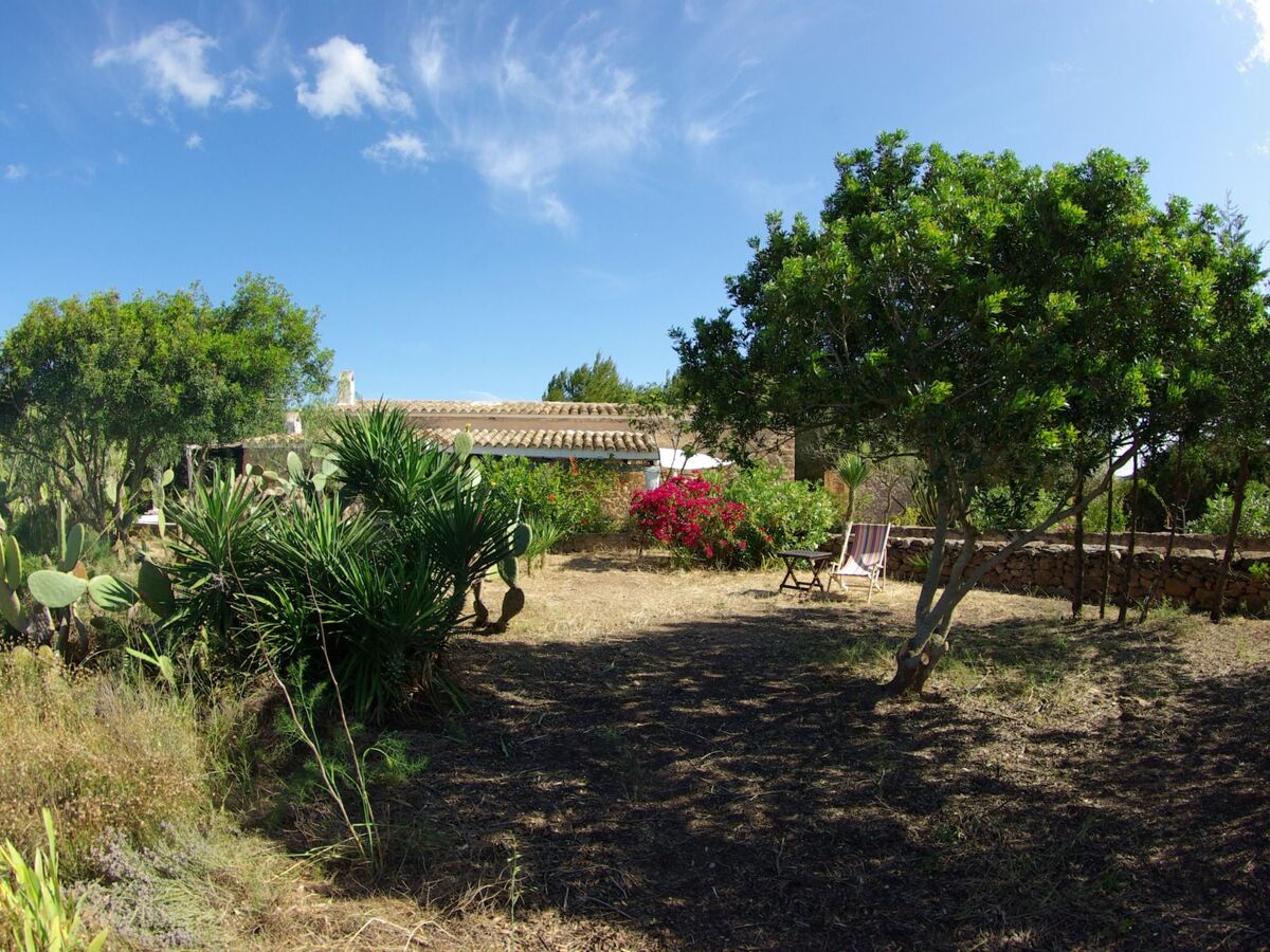 Finca de 1870 à San Fernando, jardin 2000 m² et vue sur les oliveraies - Photo 12
