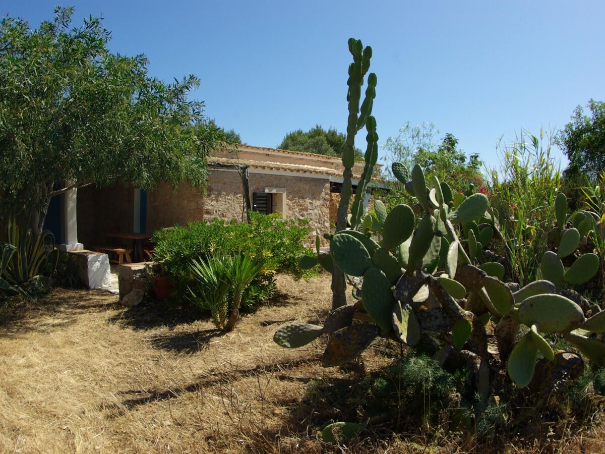 Finca de 1870 à San Fernando, jardin 2000 m² et vue sur les oliveraies - Photo 13