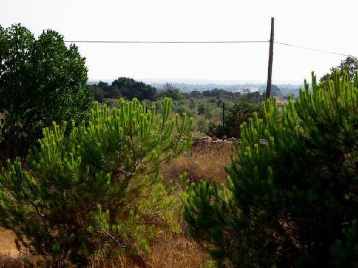 Finca de 1870 à San Fernando, jardin 2000 m² et vue sur les oliveraies - Photo 14