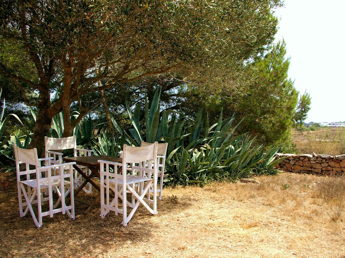 Finca de 1870 à San Fernando, jardin 2000 m² et vue sur les oliveraies - Photo 15