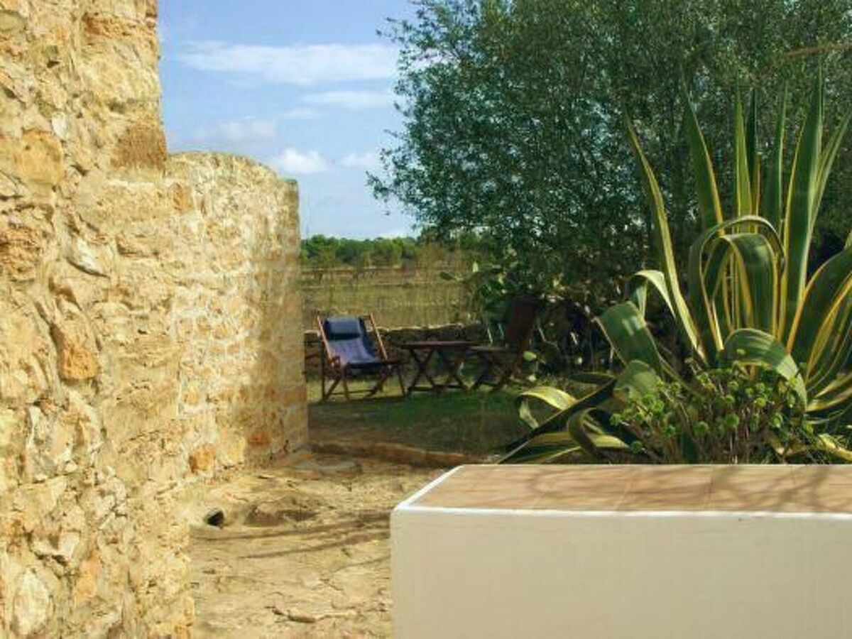 Finca de 1870 à San Fernando, jardin 2000 m² et vue sur les oliveraies - Photo 16