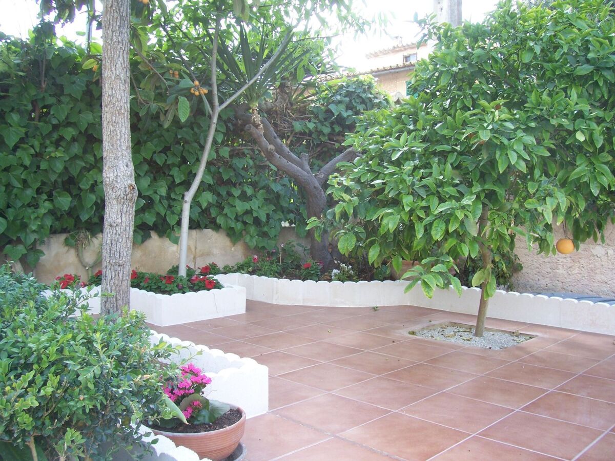 Maison Los Abilios à Palma – 300 m², piscine privée et jardin clos - Photo 5
