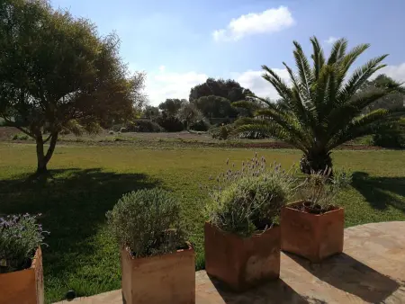 Finca Alegria – Maison 6 pers., piscine d'eau salée : photo 38