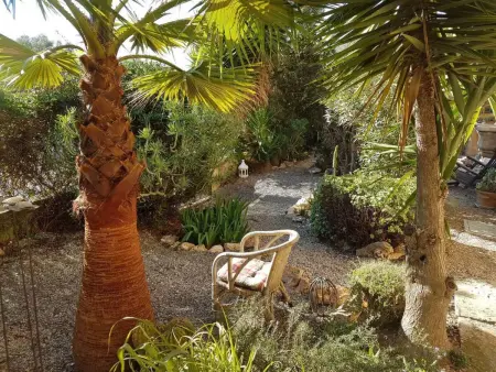 Penthouse avec terrasse face à Es Trenc, Cala Pi : photo 14