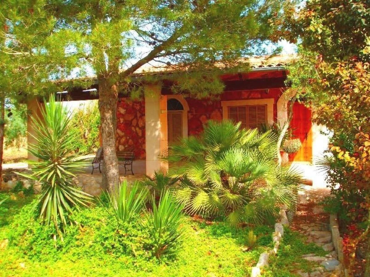 Finca Can Almendro, maison 8 personnes piscine - Photo 11