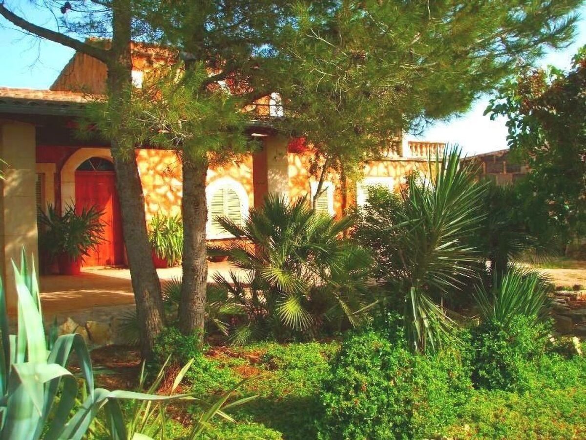 Finca Can Almendro, maison 8 personnes piscine - Photo 14
