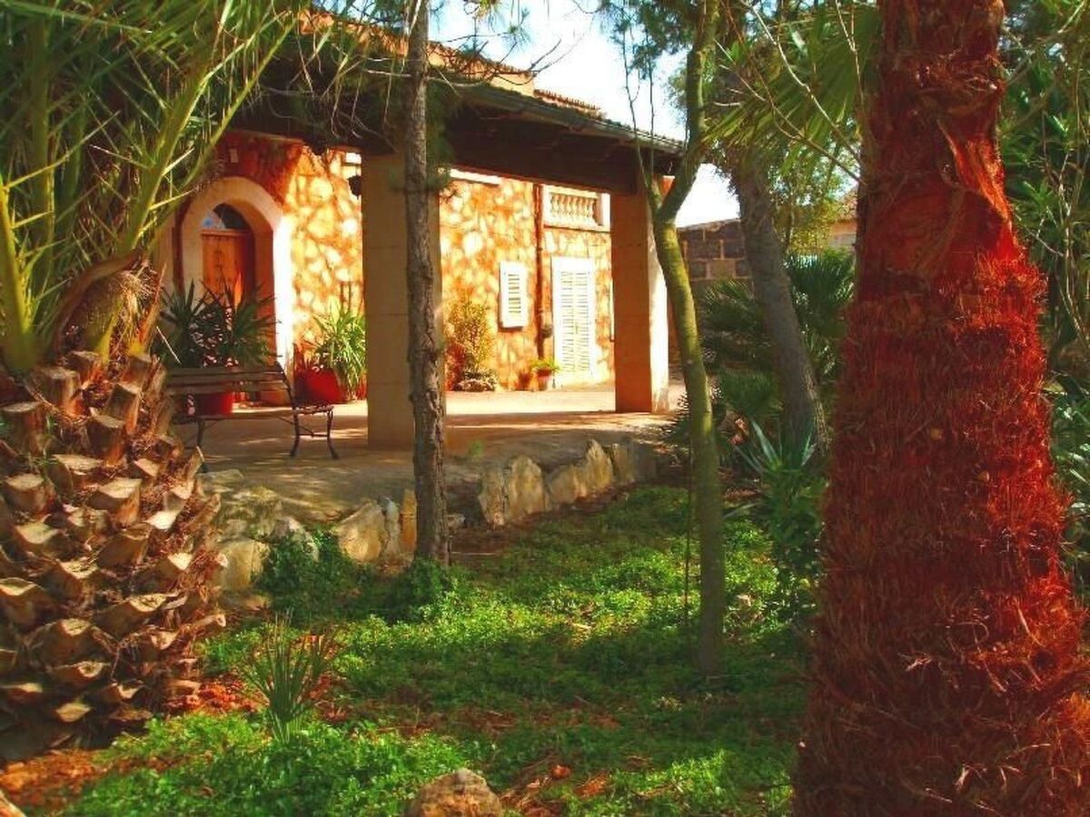 Finca Can Almendro, maison 8 personnes piscine - Photo 16