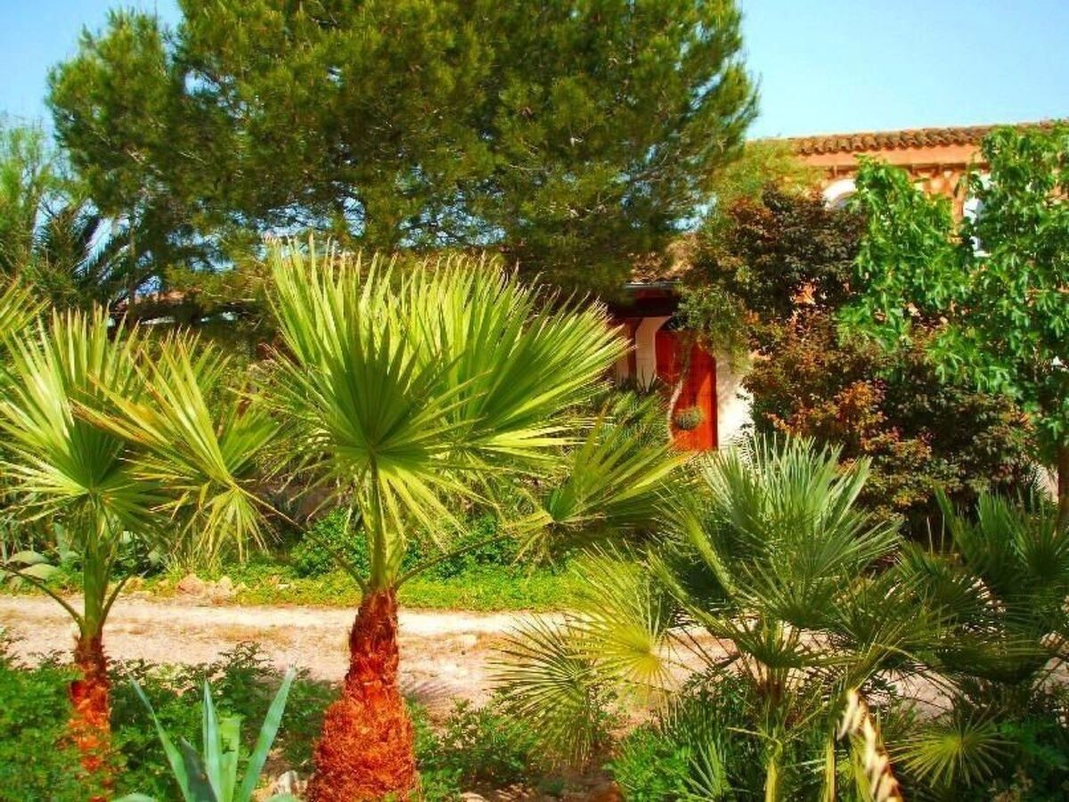 Finca Can Almendro, maison 8 personnes piscine - Photo 19