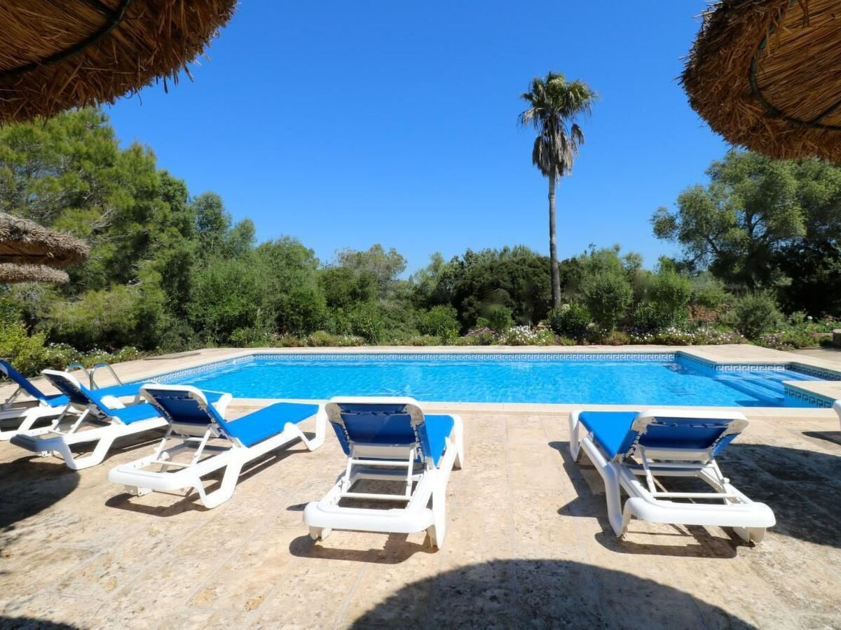 Finca Cielo Azul - Maison 7 pers. avec piscine à Campos - Photo 3