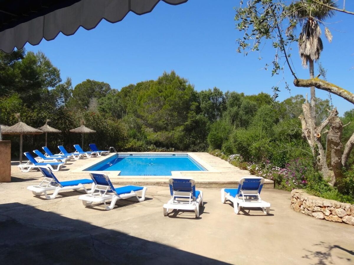 Finca Cielo Azul - Maison 7 pers. avec piscine à Campos - Photo 6