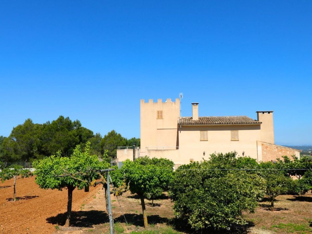 Finca Cielo Azul - Maison 7 pers. avec piscine à Campos - Photo 10