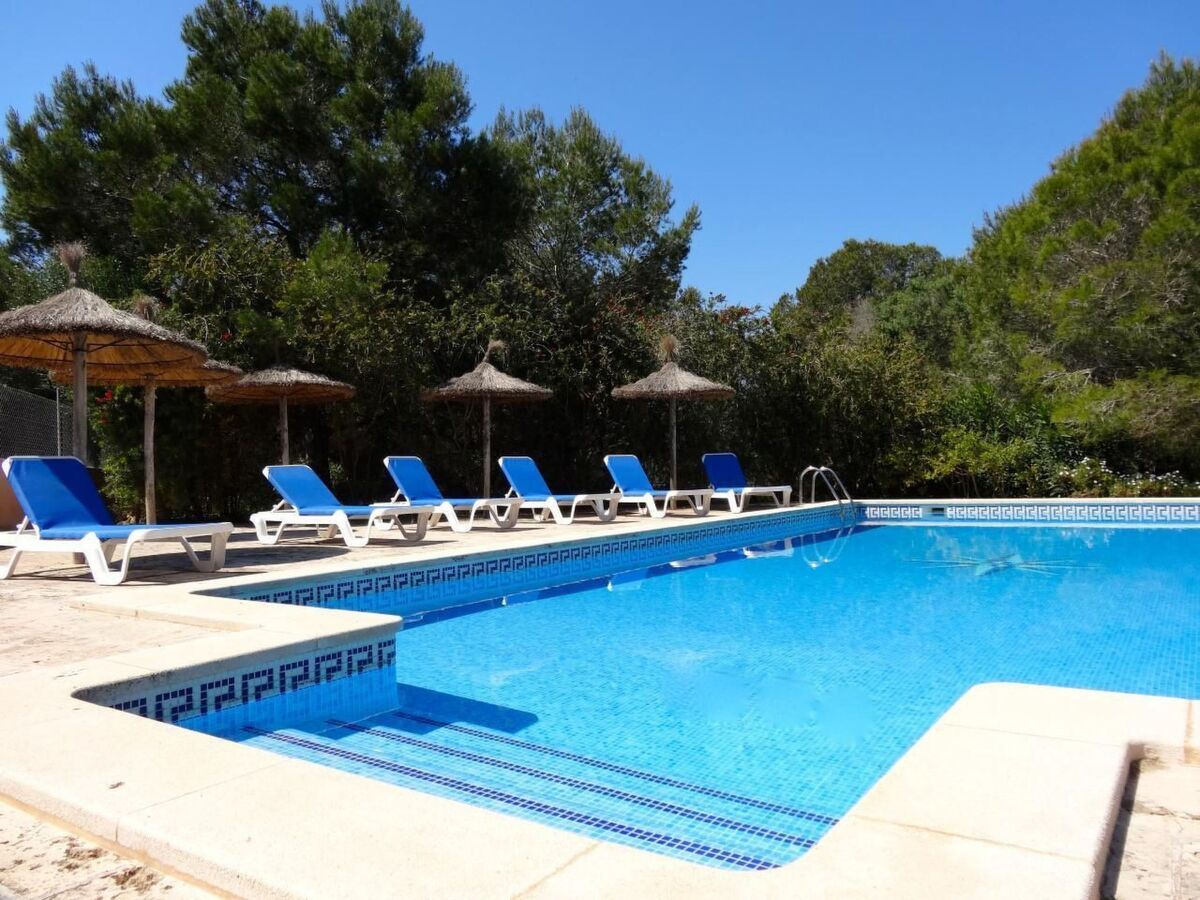 Finca Cielo Azul - Maison 7 pers. avec piscine à Campos - Photo 12