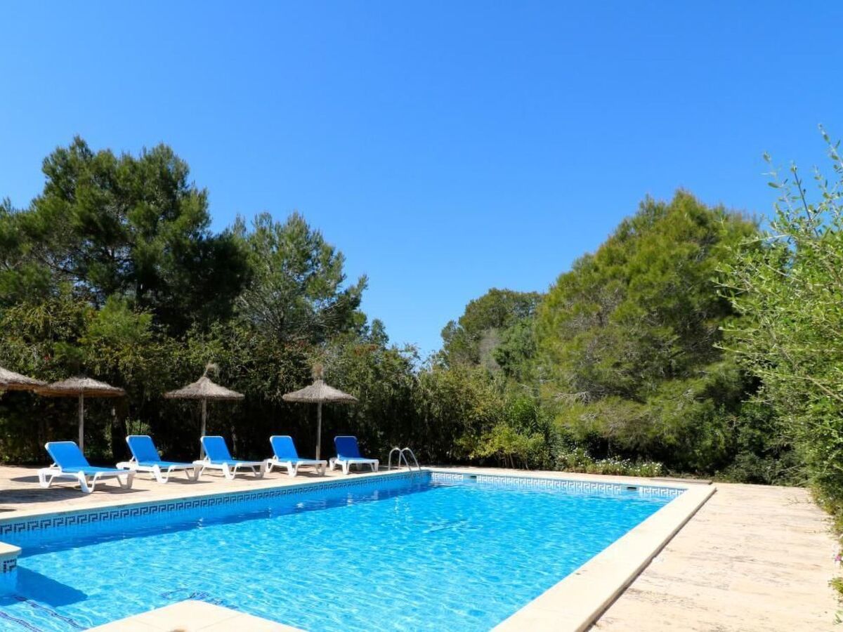 Finca Cielo Azul - Maison 7 pers. avec piscine à Campos - Photo 15