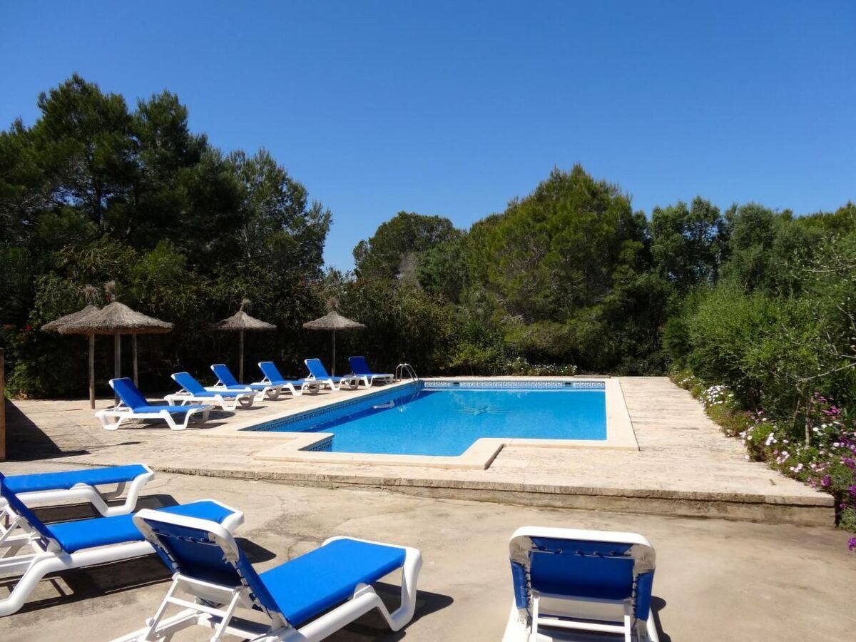 Finca Cielo Azul - Maison 7 pers. avec piscine à Campos - Photo 18