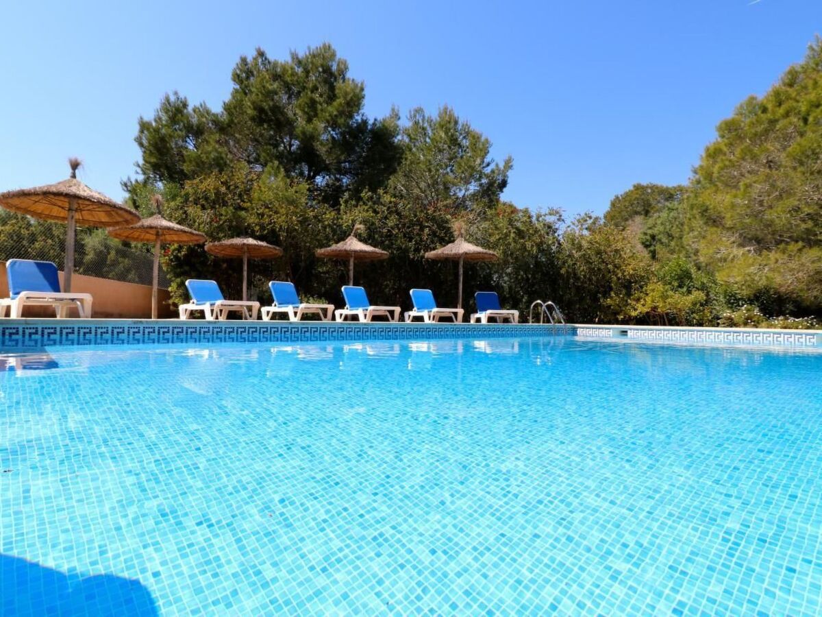 Finca Cielo Azul - Maison 7 pers. avec piscine à Campos - Photo 25