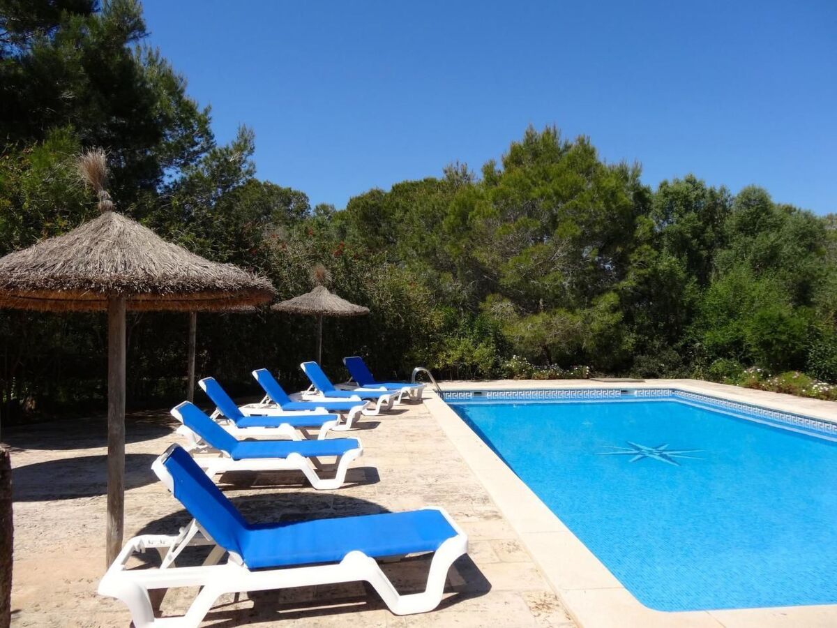 Finca Cielo Azul - Maison 7 pers. avec piscine à Campos - Photo 29