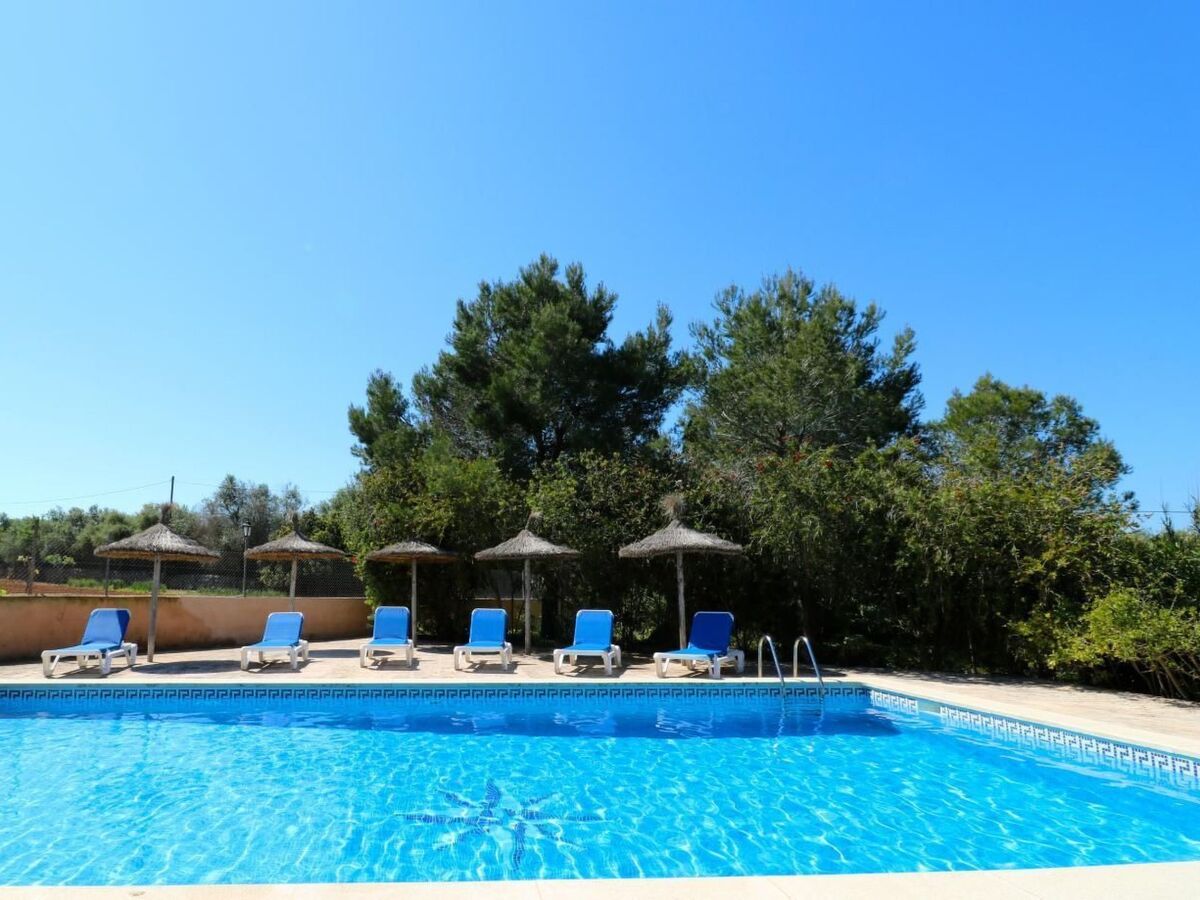 Finca Cielo Azul - Maison 7 pers. avec piscine à Campos - Photo 35