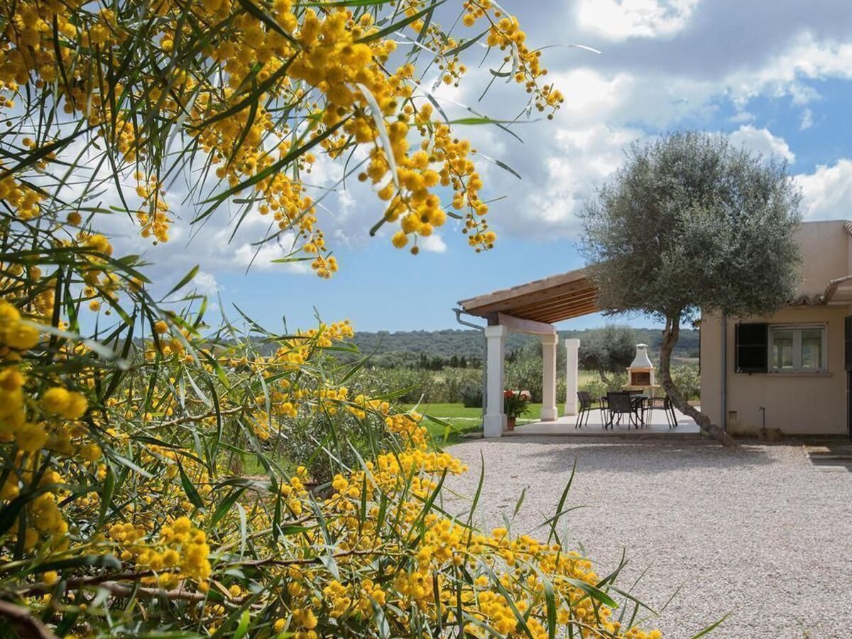 Maison avec piscine privée à Campos, 5 km des plages - Photo 16