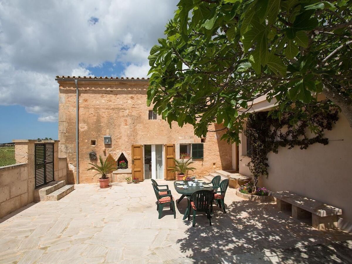Maison avec piscine privée à Campos, 5 km des plages - Photo 19