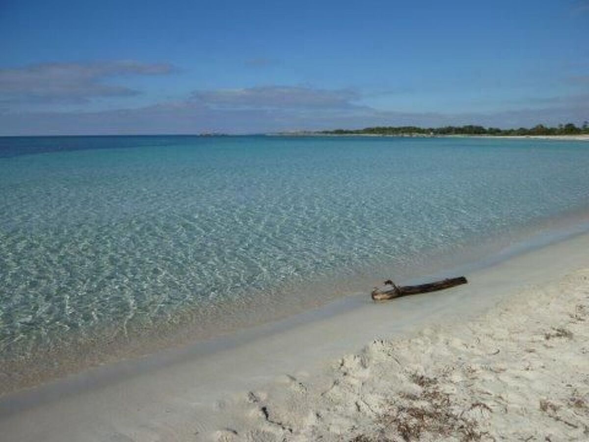 Maison avec piscine privée à Campos, 5 km des plages - Photo 32
