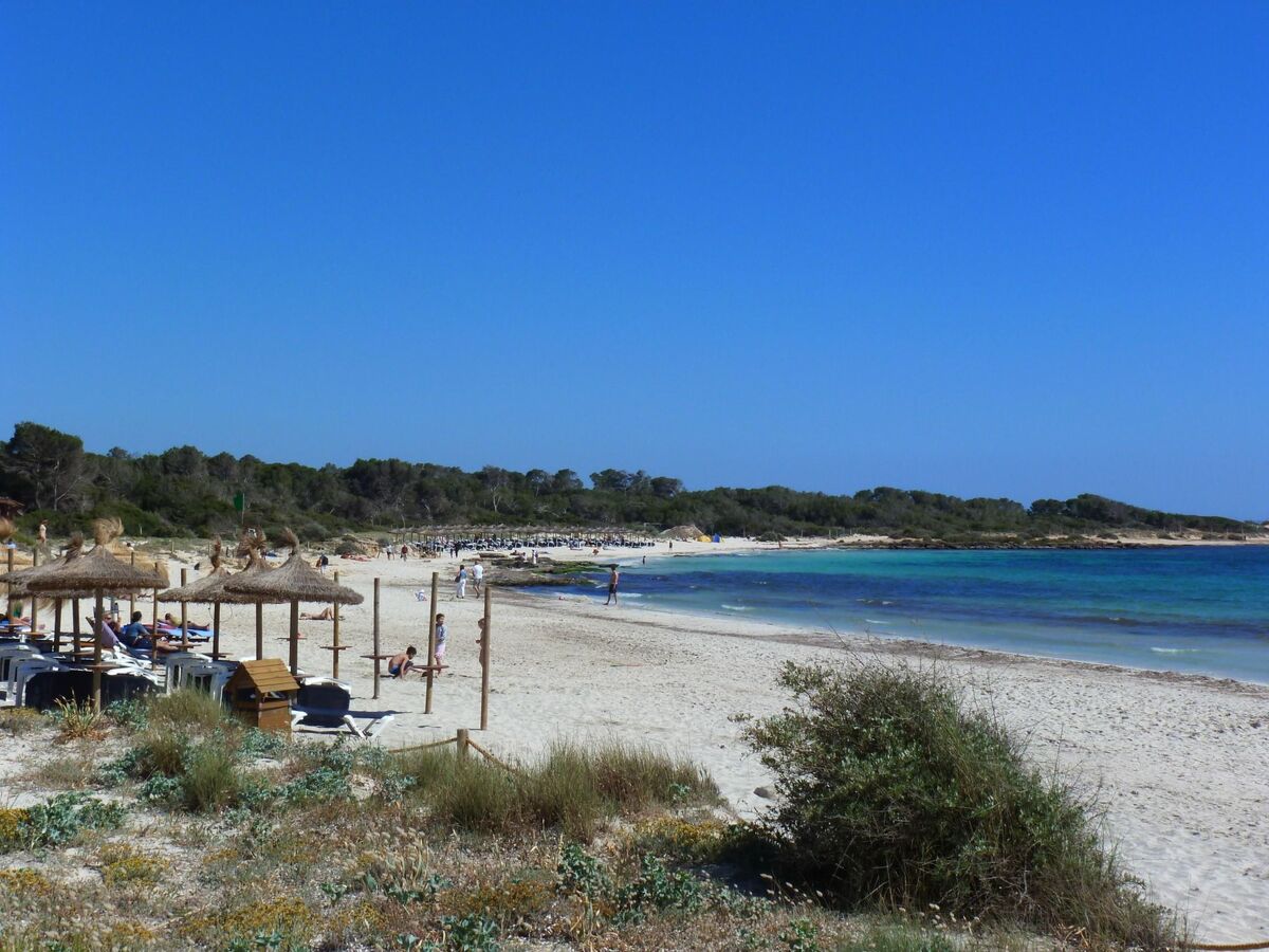 Maison avec piscine privée à Campos, 5 km des plages - Photo 35