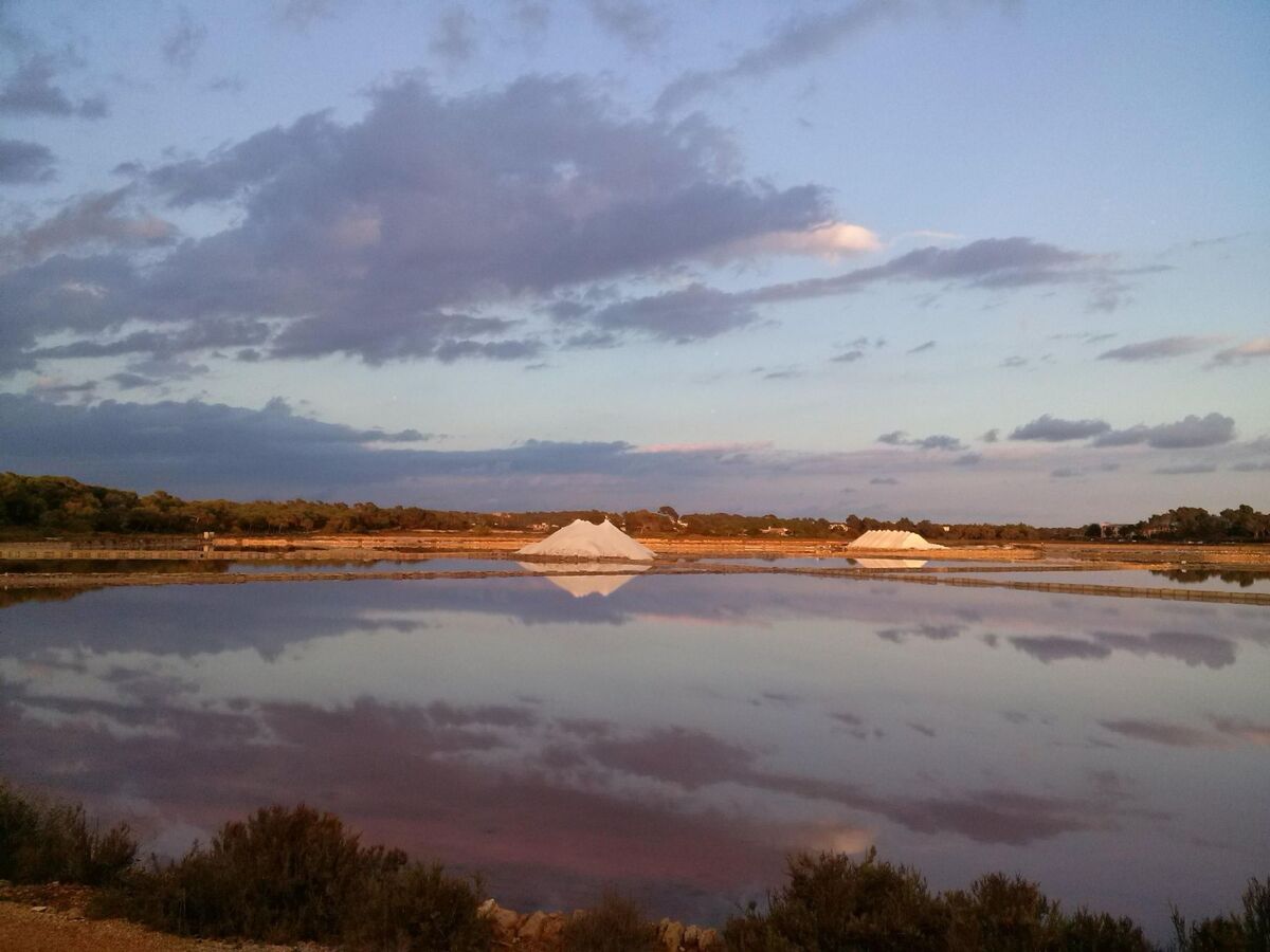 Maison avec piscine privée à Campos, 5 km des plages - Photo 44