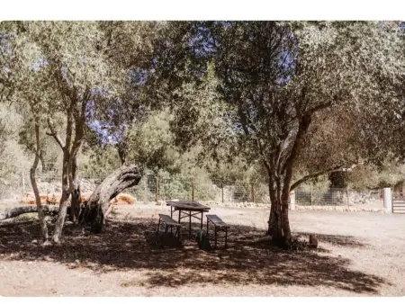 mit eigenem Garten und Schwimmbad., Maison 3 personnes à Llucmajor - Photo 15