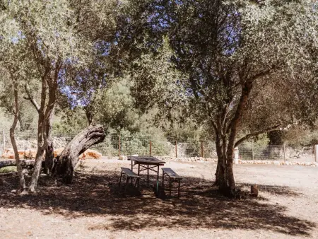 mit eigenem Garten und Schwimmbad., Maison 3 personnes à Llucmajor - Photo 21
