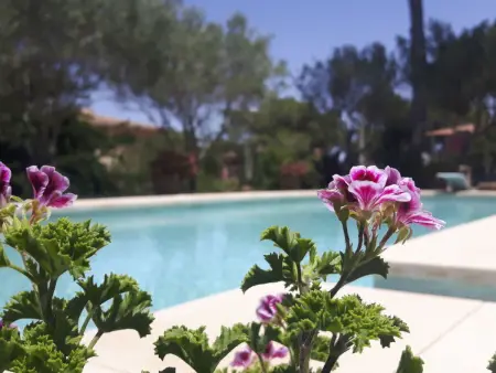 Villa 5 chambres avec piscine à 150 m de la plage : photo 38