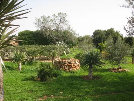 Finca Can Jan – Maison 3 chambres, piscine et 7000 m² : photo 5