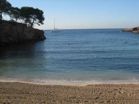 Finca Can Jan – Maison 3 chambres, piscine et 7000 m² : photo 15