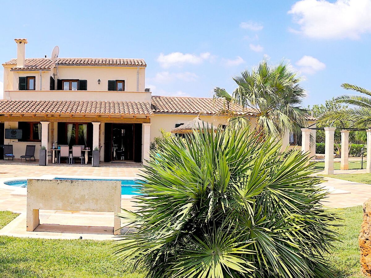 Luxury Finca Llucmajor – 8000m² avec piscine - Photo 2