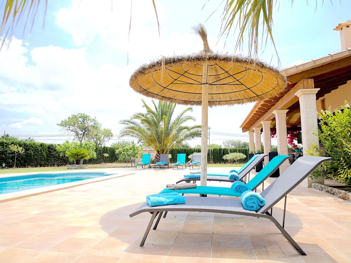 Luxury Finca Llucmajor – 8000m² avec piscine - Photo 4