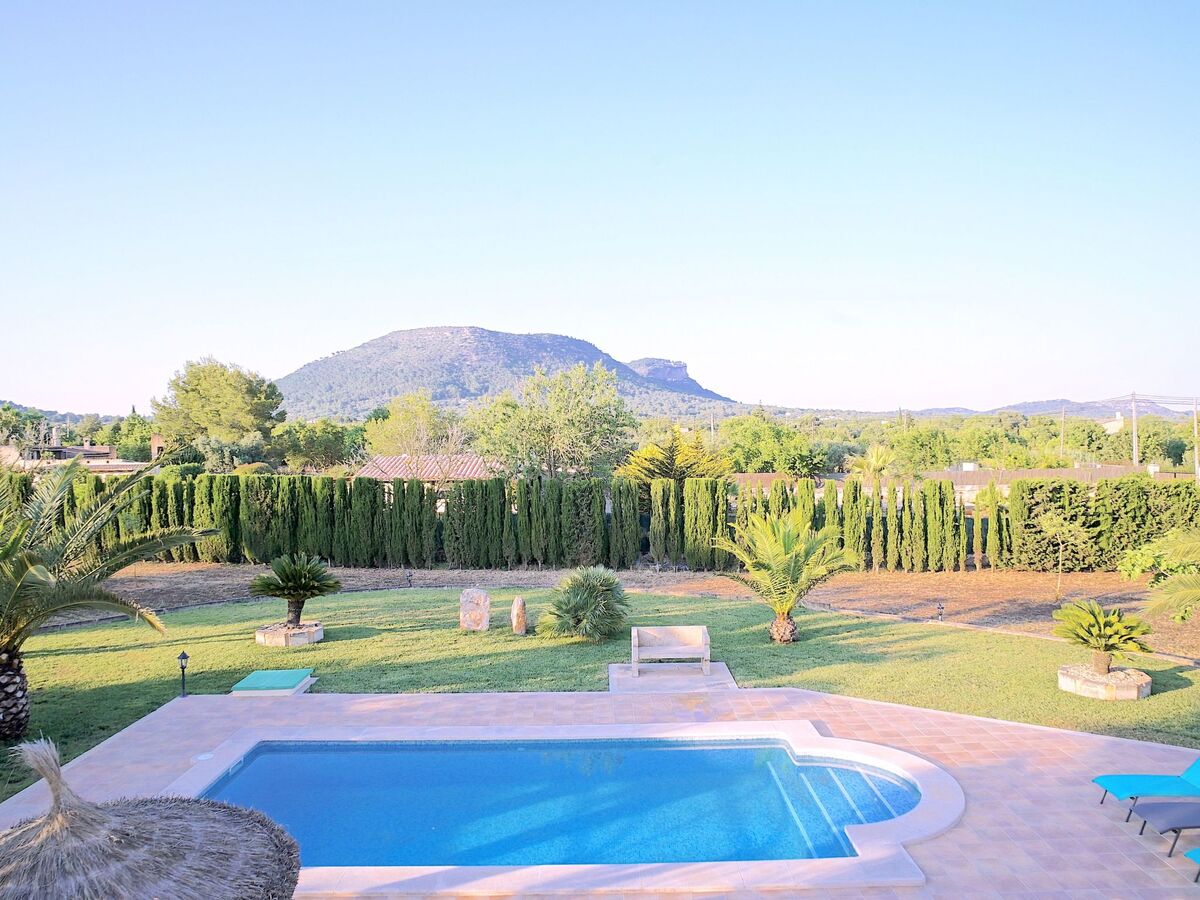 Luxury Finca Llucmajor – 8000m² avec piscine - Photo 6