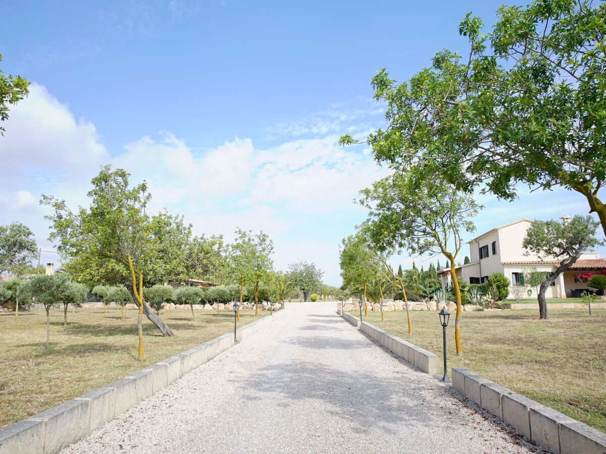 Luxury Finca Llucmajor – 8000m² avec piscine - Photo 10