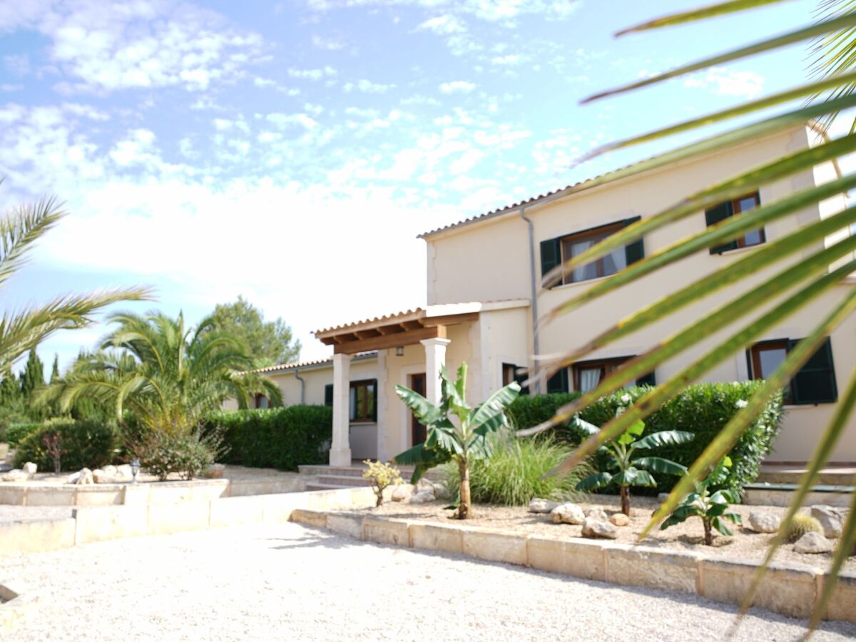 Luxury Finca Llucmajor – 8000m² avec piscine - Photo 11