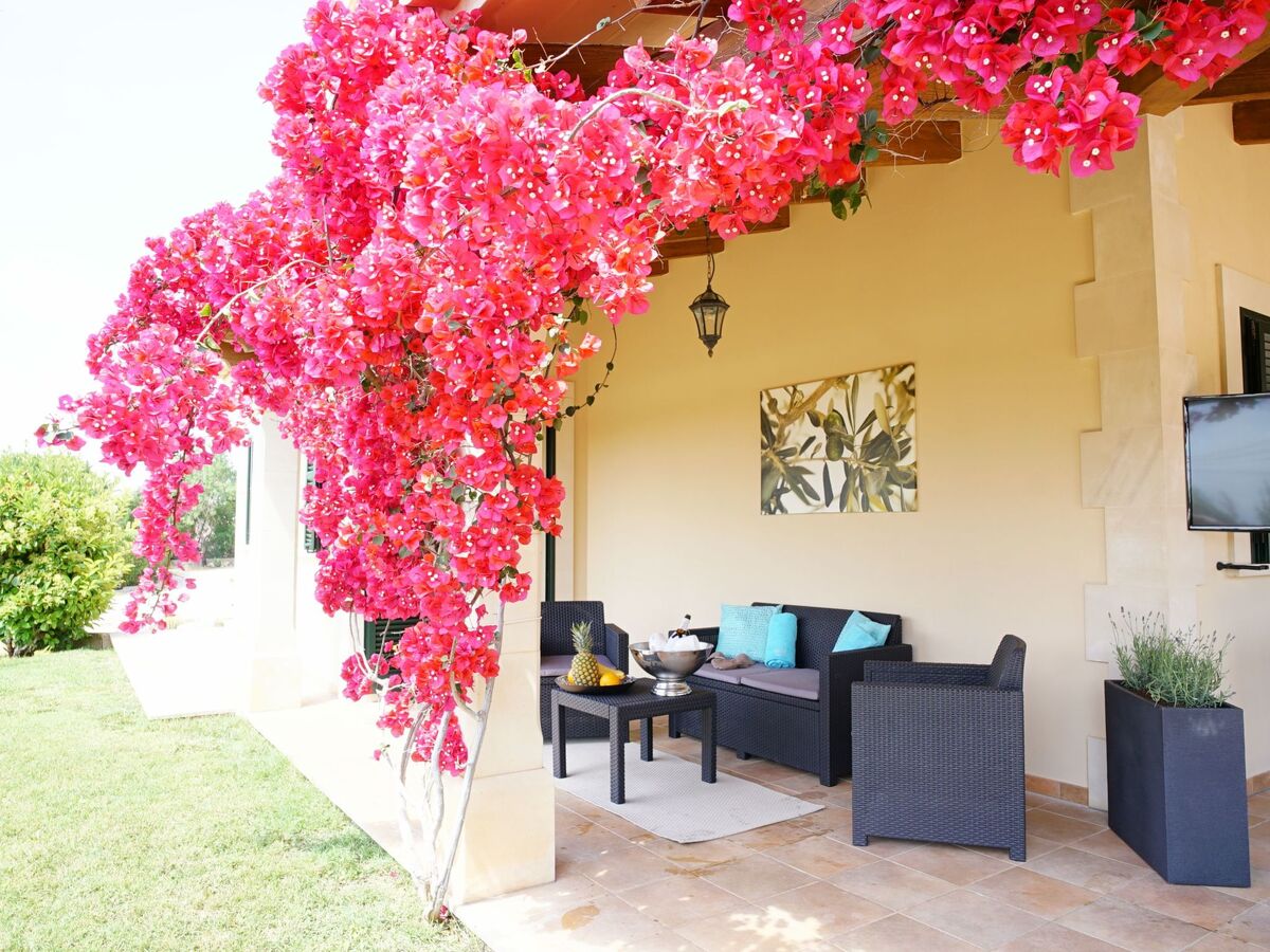 Luxury Finca Llucmajor – 8000m² avec piscine - Photo 12