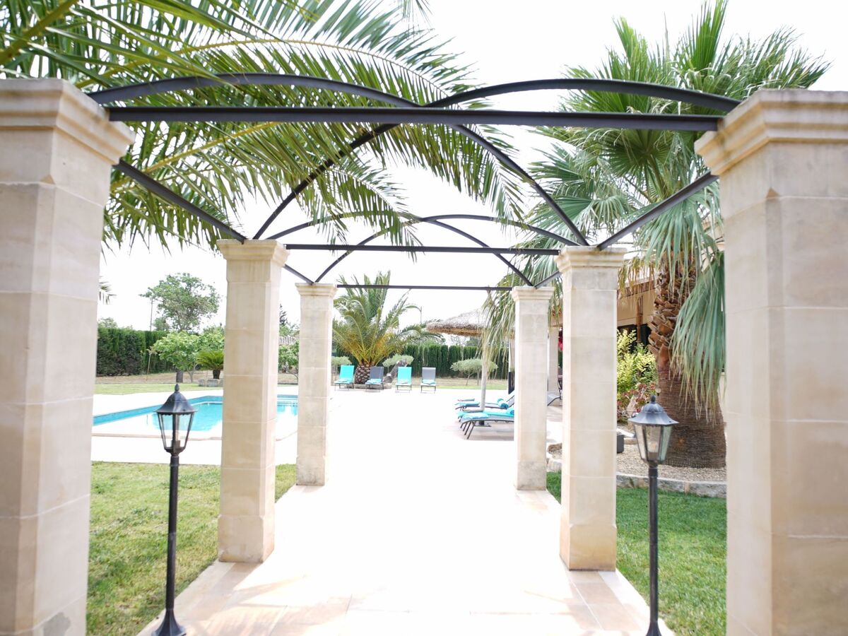 Luxury Finca Llucmajor – 8000m² avec piscine - Photo 13